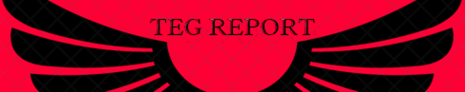 TEG Report